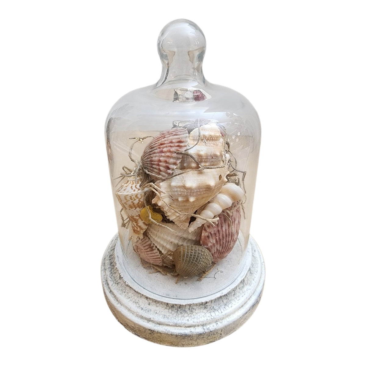 Miniature glass cloche with shell topiary on OWR hand-painted crazed base