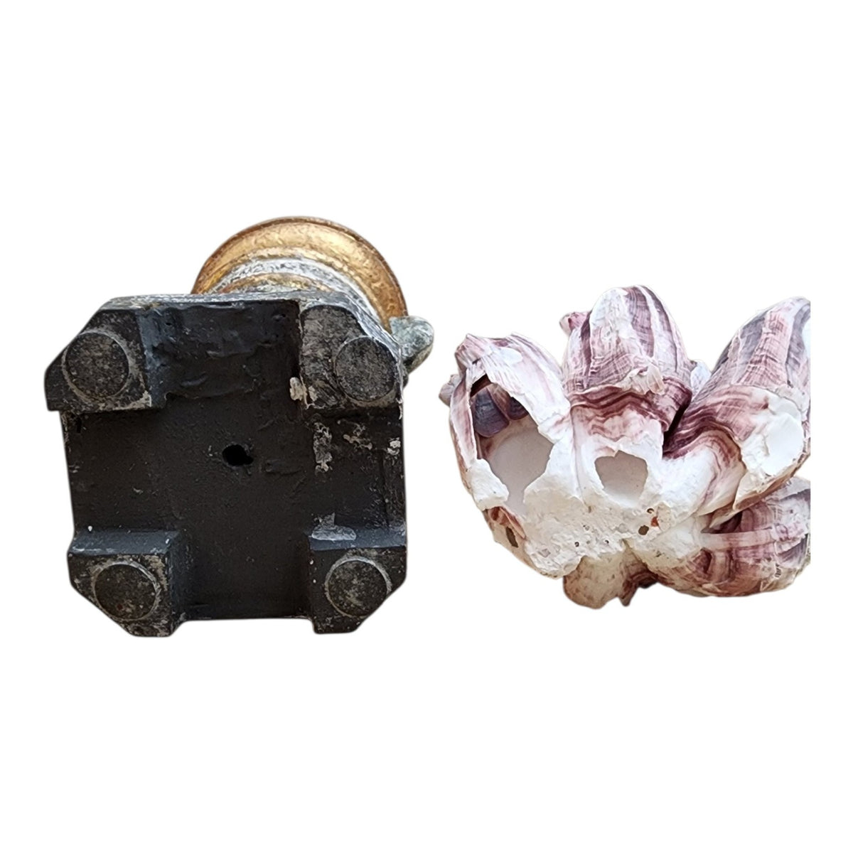 Pedestal urn base and barnacle cluster underside detail