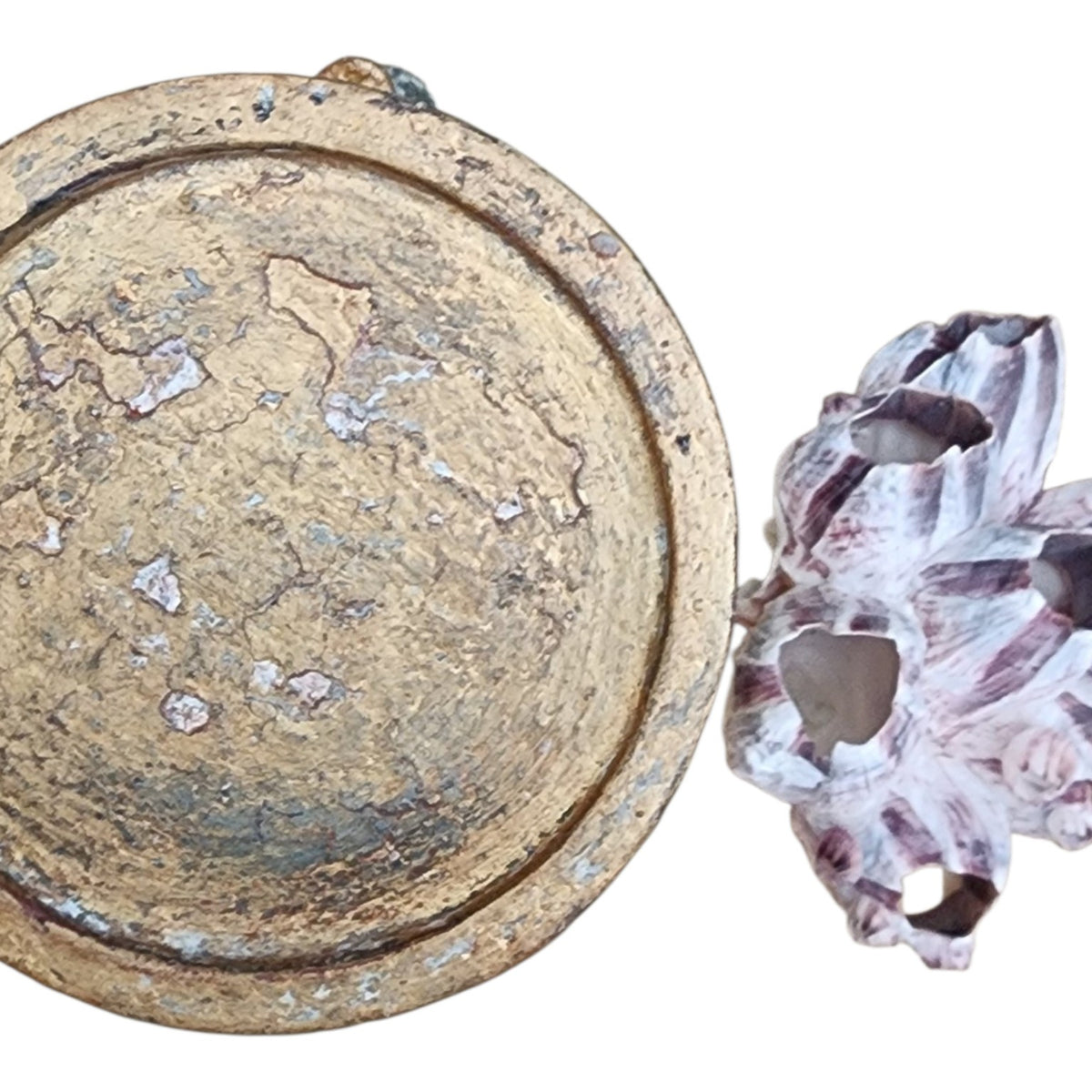 Hand-painted finish and barnacle cluster detail