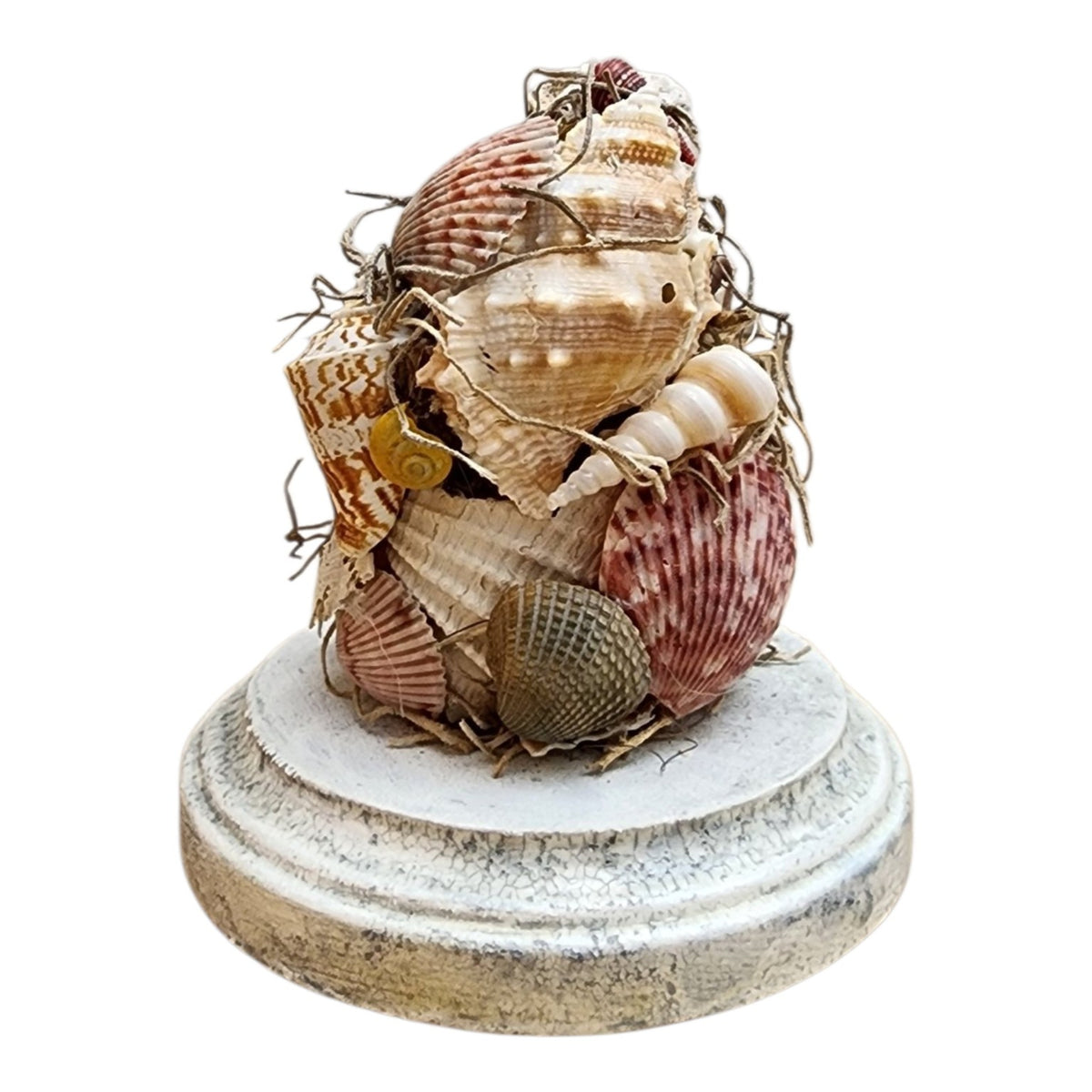 Shell topiary and hand-painted crazed wood base without glass cloche