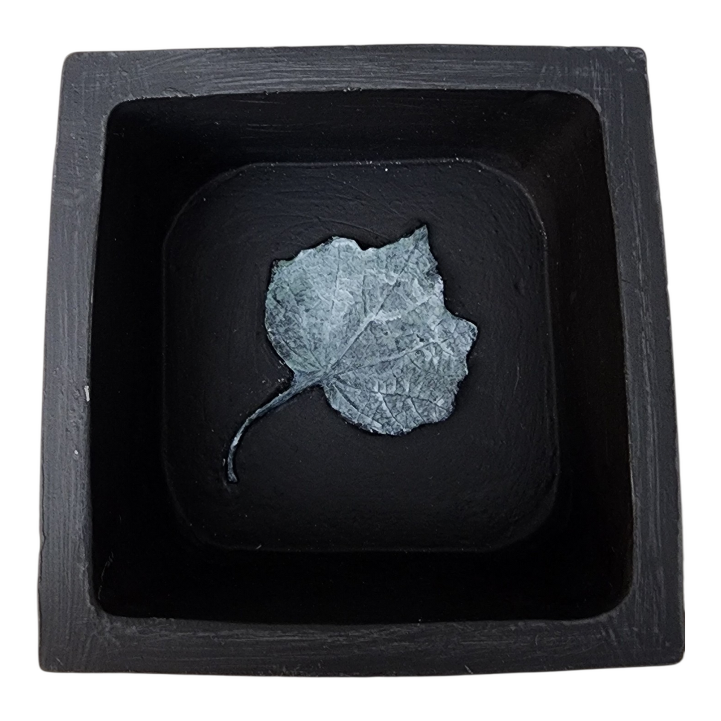 Pressed Botanical Relic Box 1 – Handcrafted Textural Fern Art